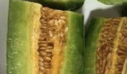 有吃瓜视频的网红有哪些,揭秘热门视频背后的故事