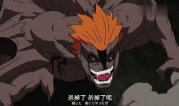 新年雷影爆料视频大全集,揭秘精彩瞬间与幕后故事